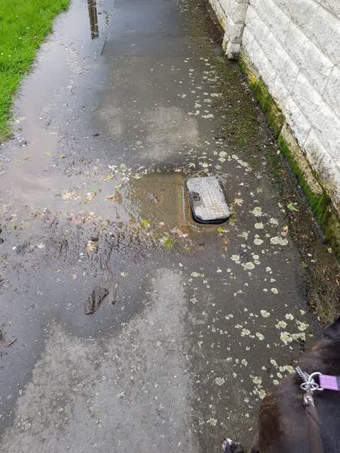 Water Leak, a report photo