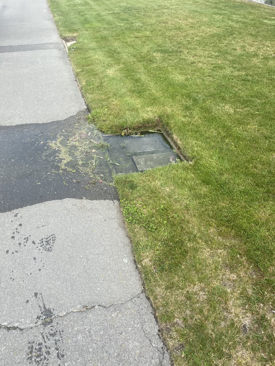 The photograph attached to this water leak report