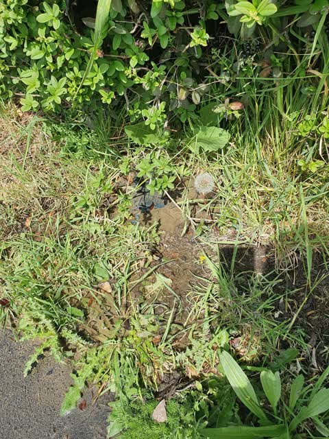 Water Leak, a report photo