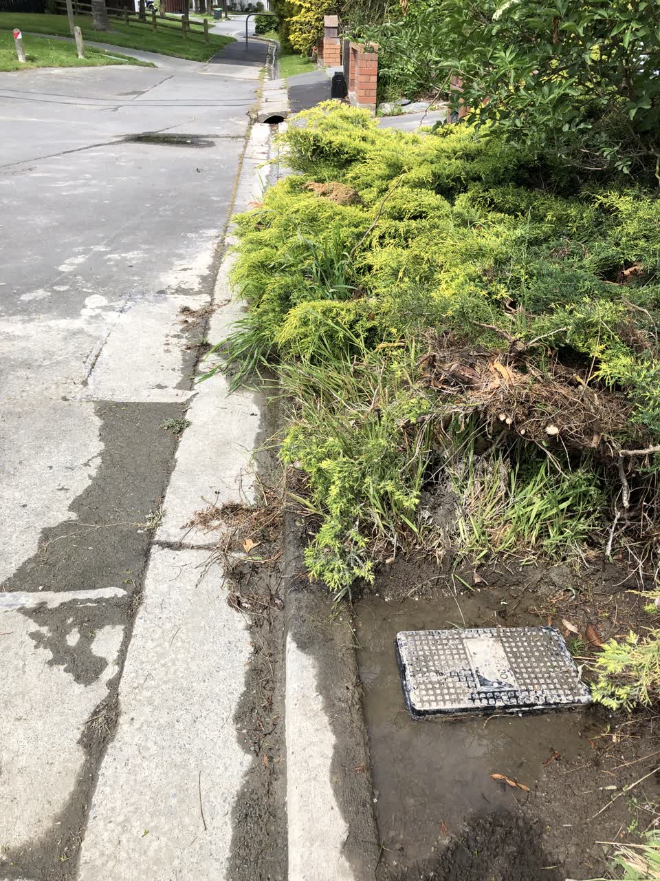 The photograph attached to this water leak report