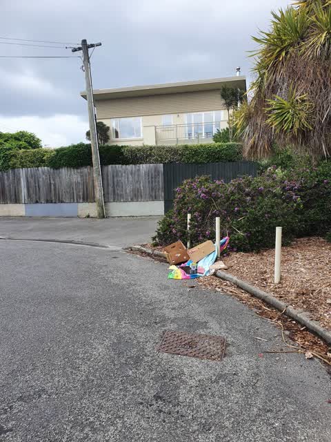 Rubbish/Recycling — a report photo