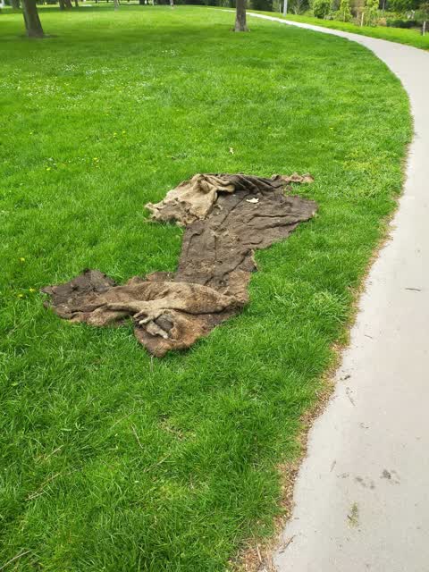 Rubbish/Recycling — a report photo