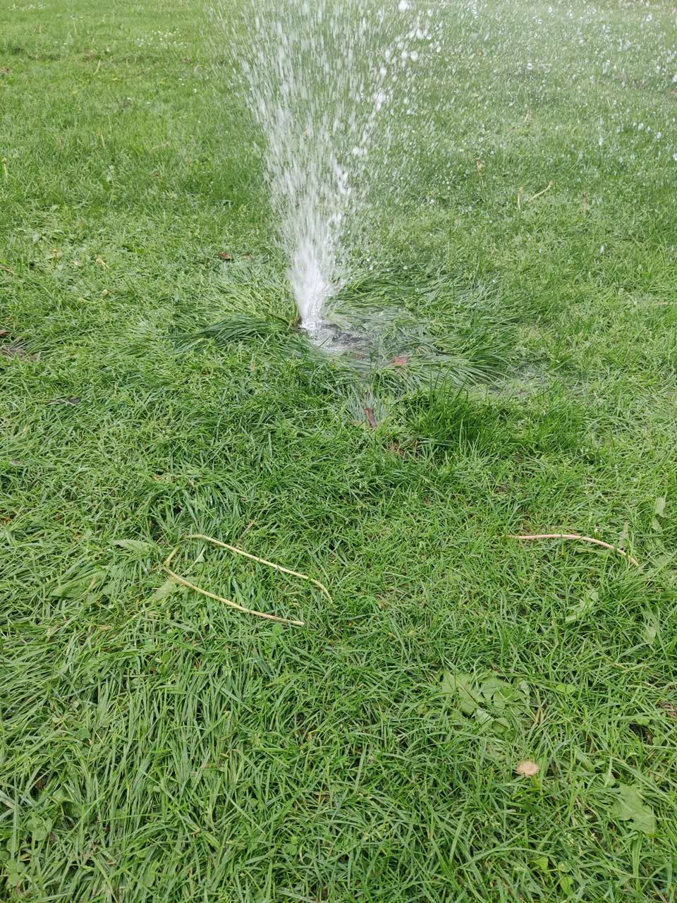 The photograph attached to this water leak report