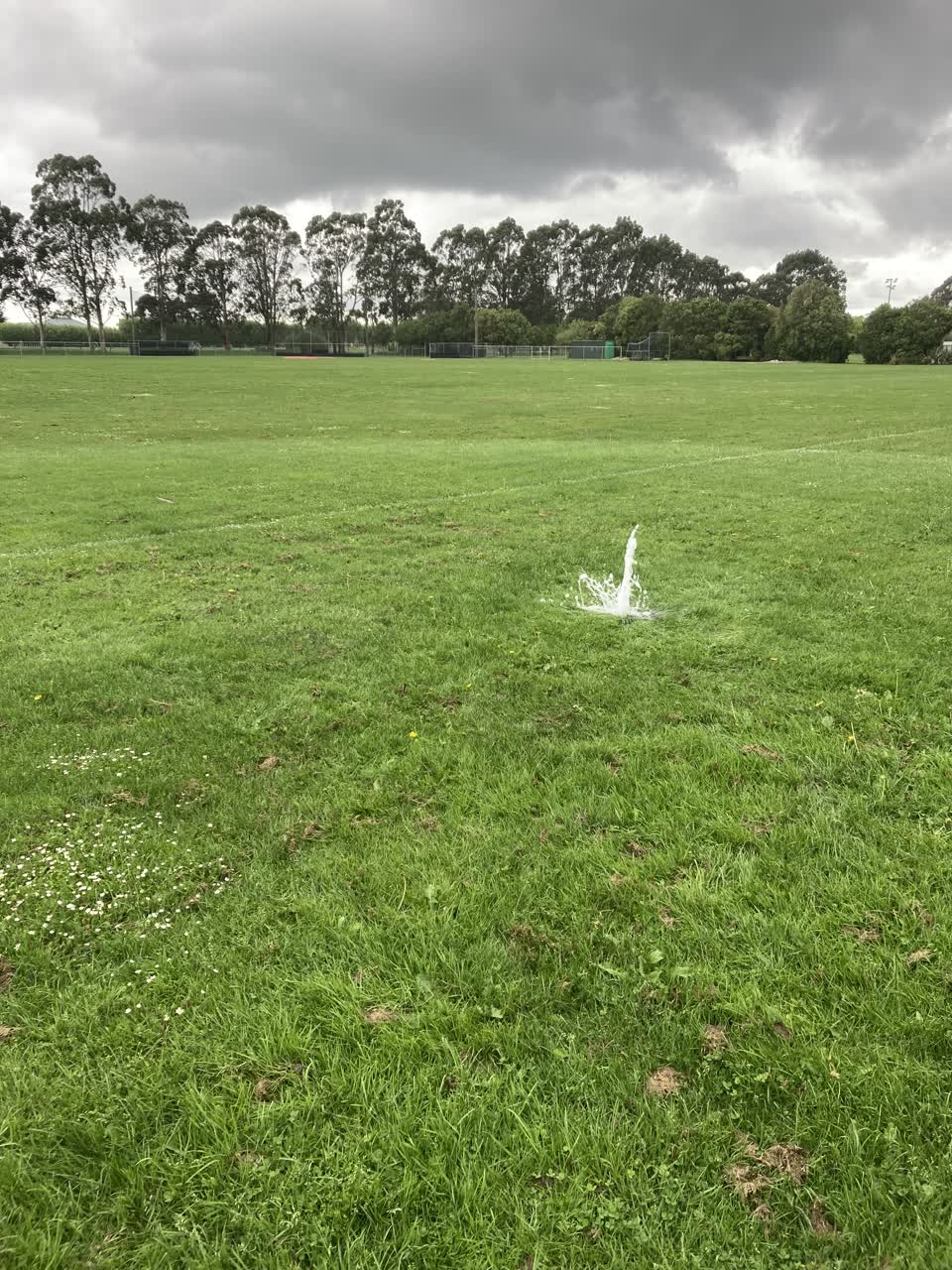 The photograph attached to this parks report