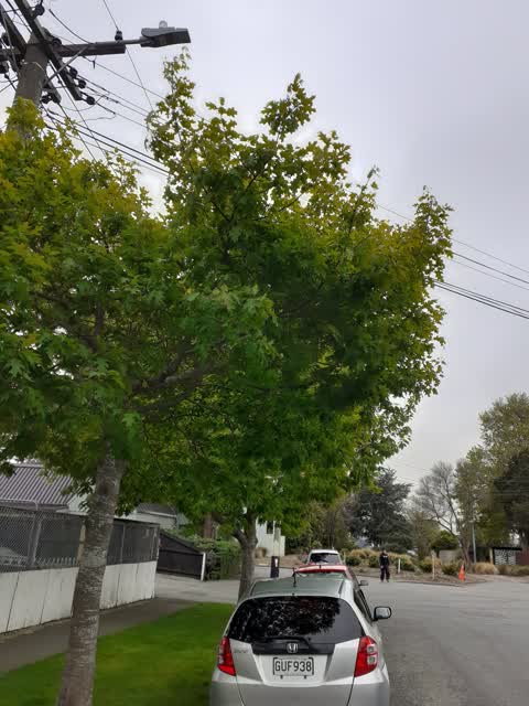 Roading/Streets, a report photo