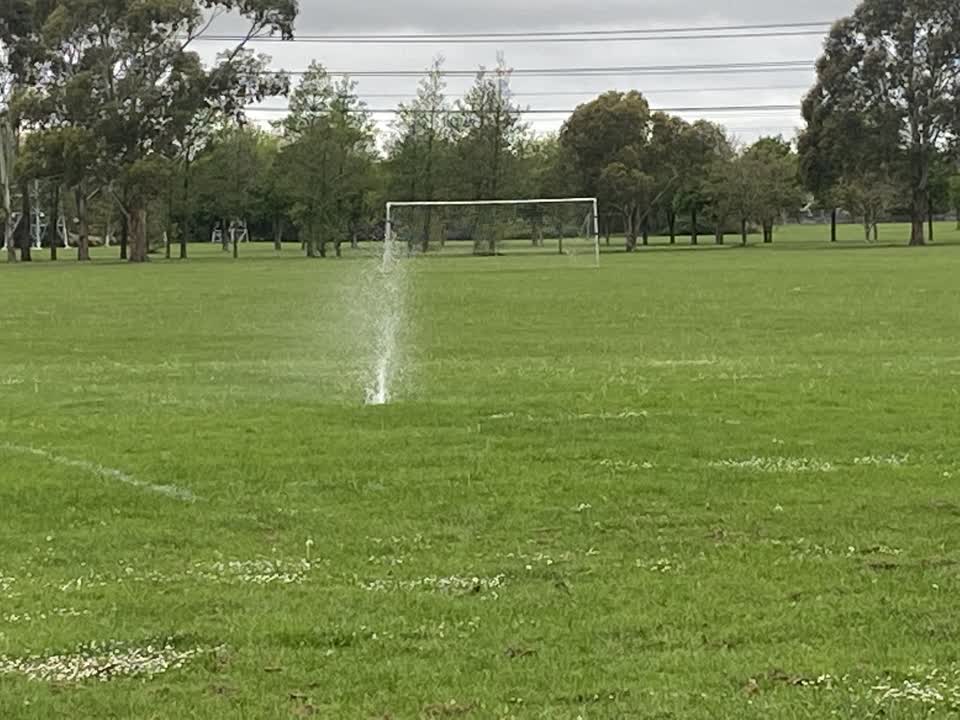 The photograph attached to this parks report