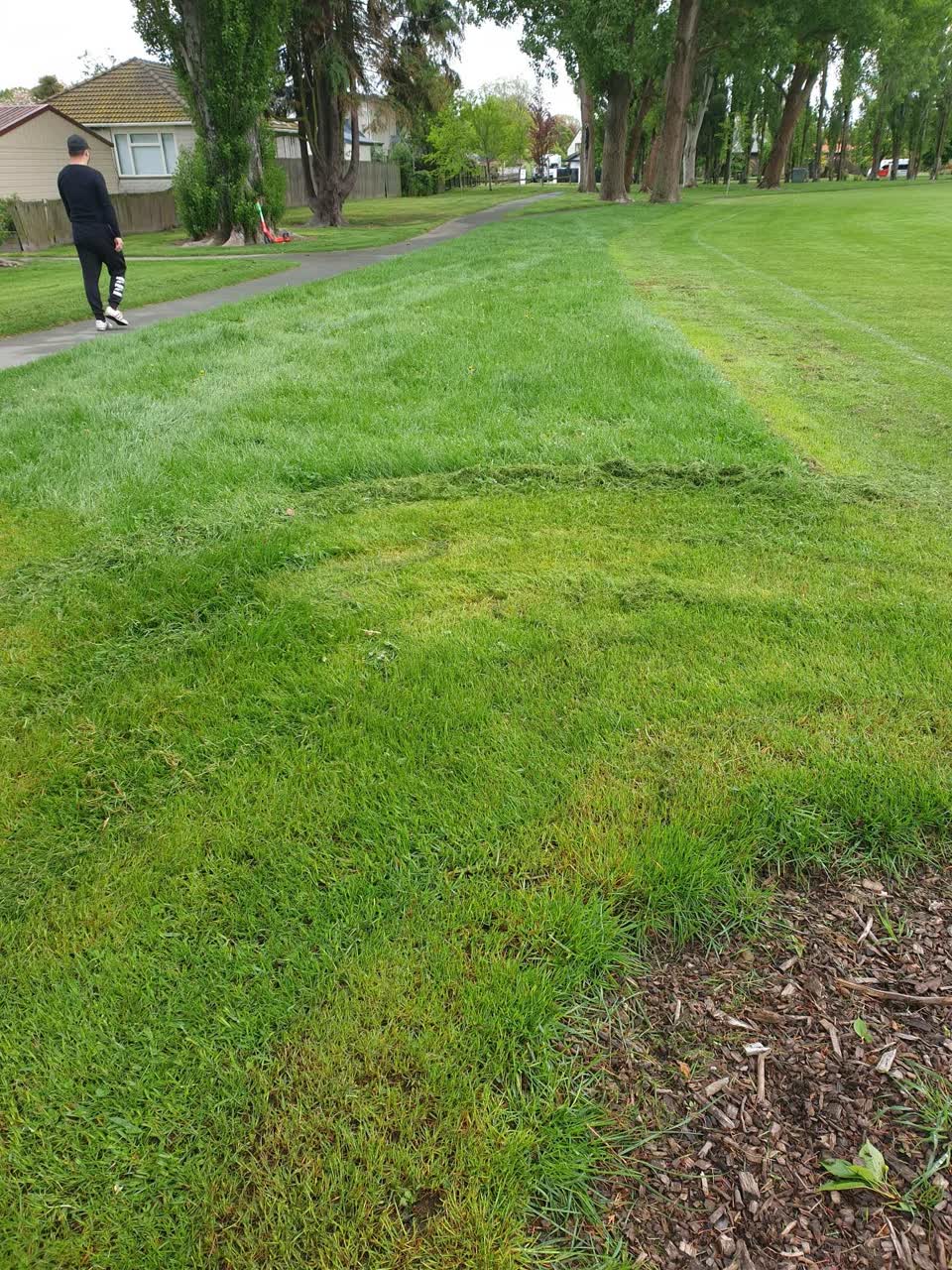 The photograph attached to this parks report