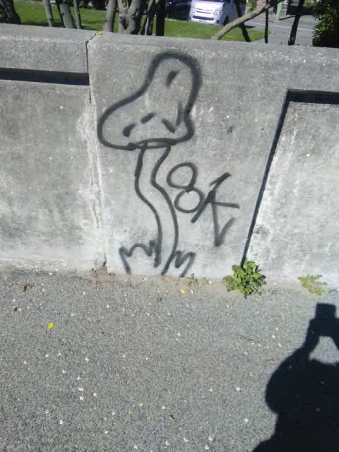 Graffiti, a report photo