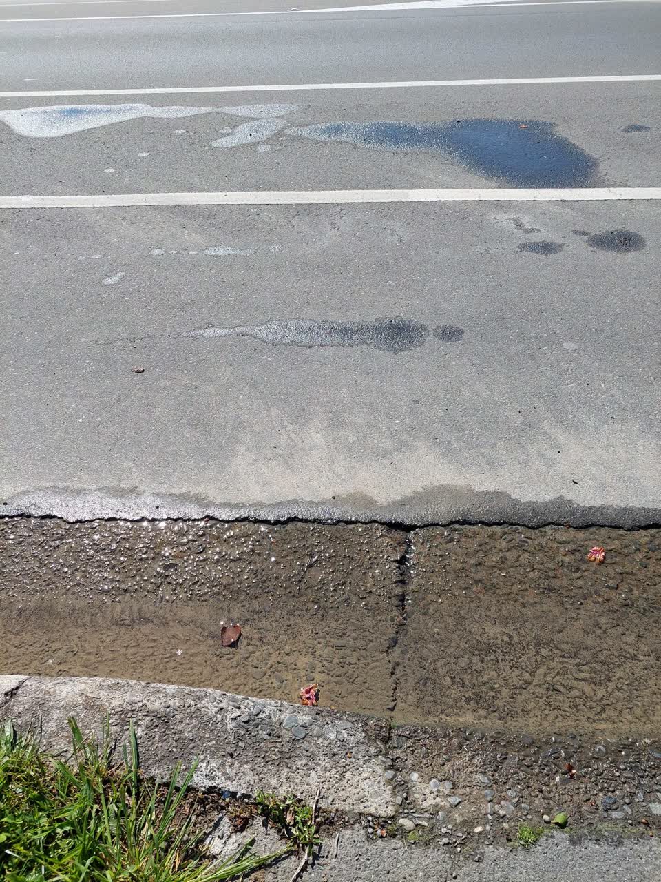 The photograph attached to this water leak report