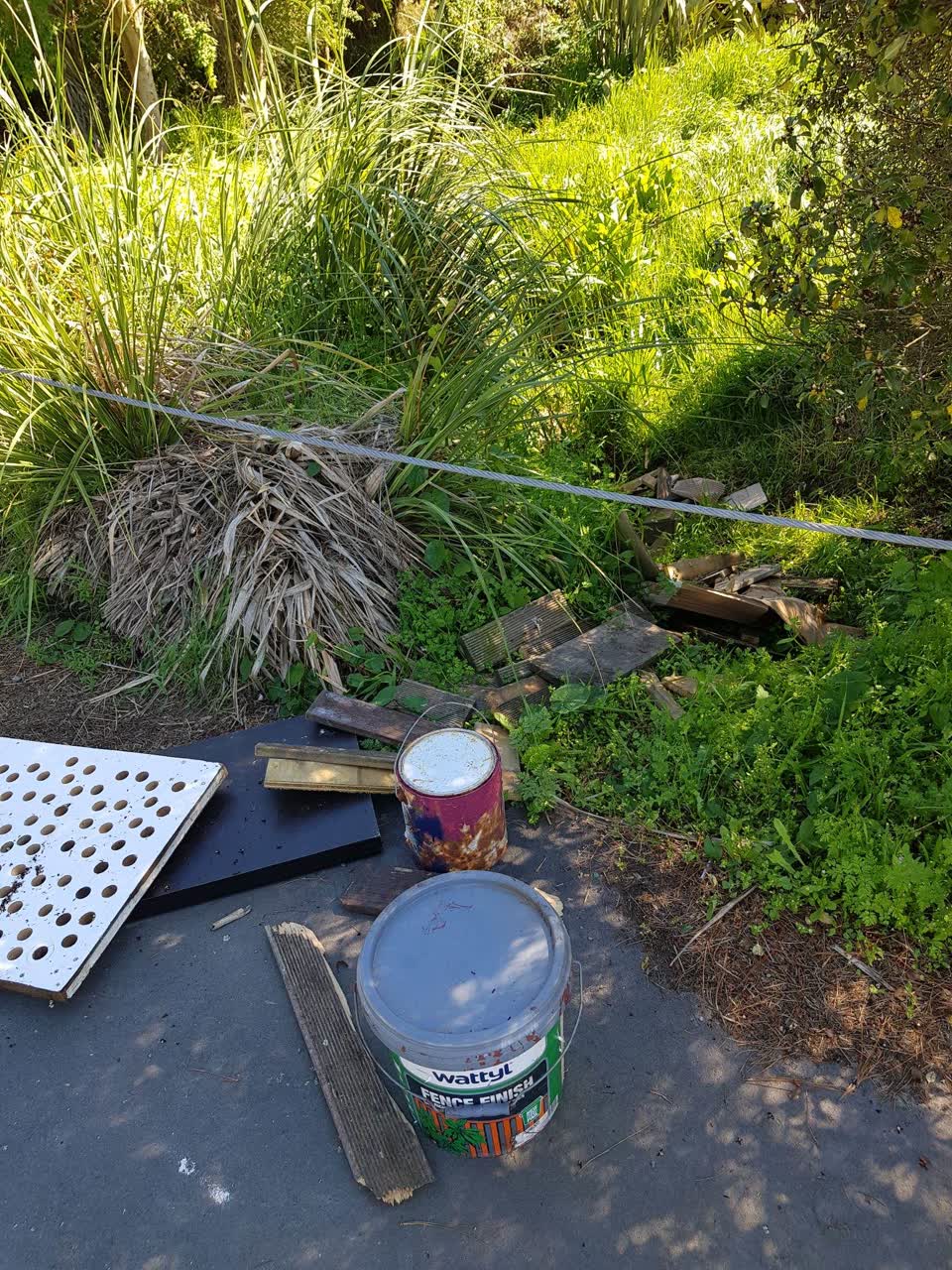The photograph attached to this parks report