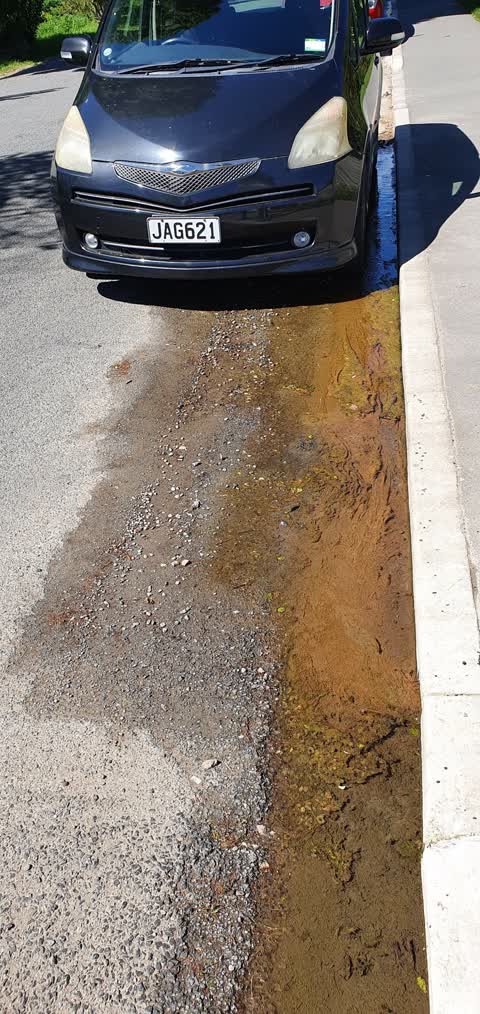 Water Leak, a report photo