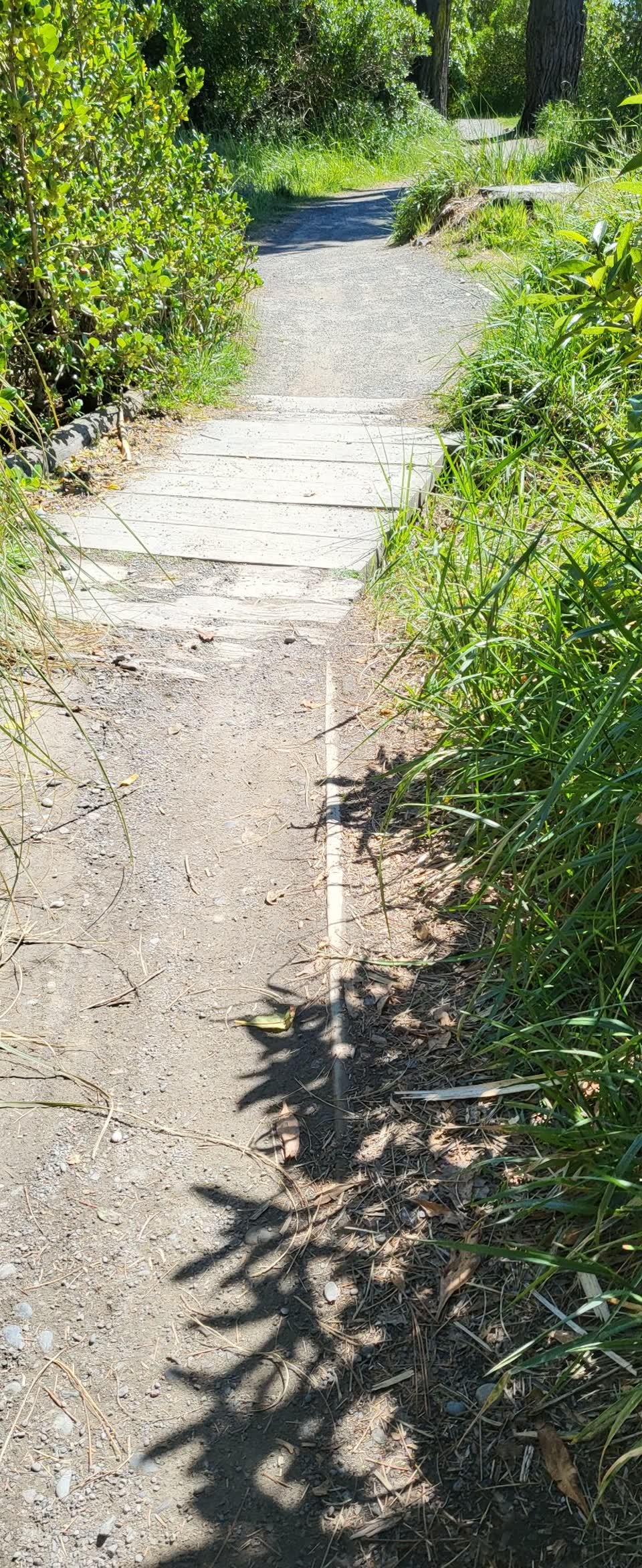 The photograph attached to this parks report