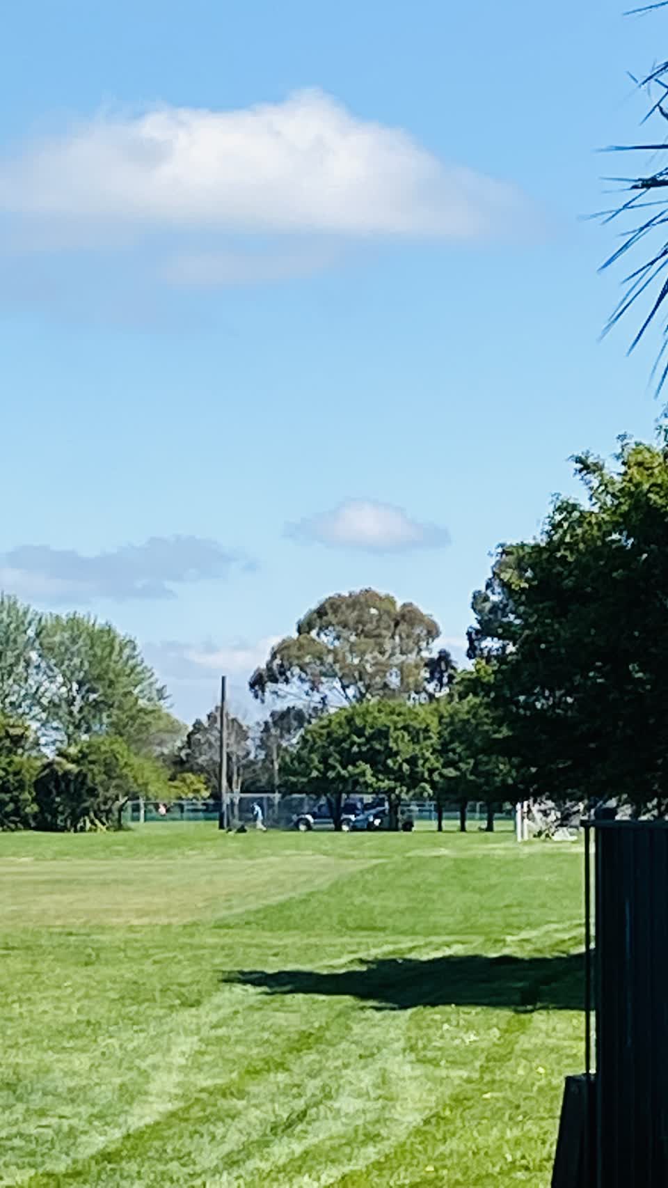 The photograph attached to this parks report