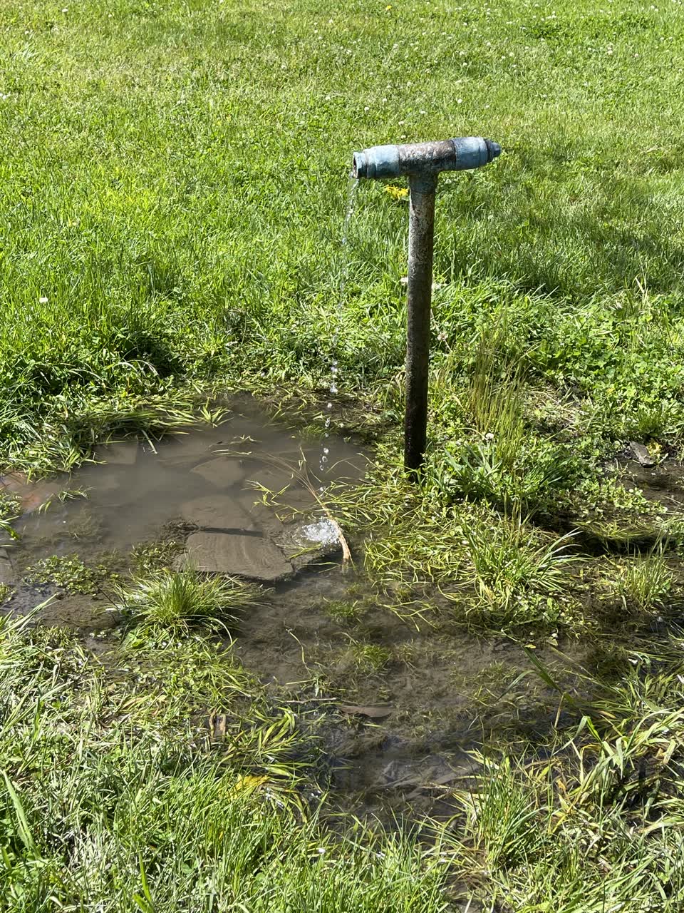 The photograph attached to this water leak report