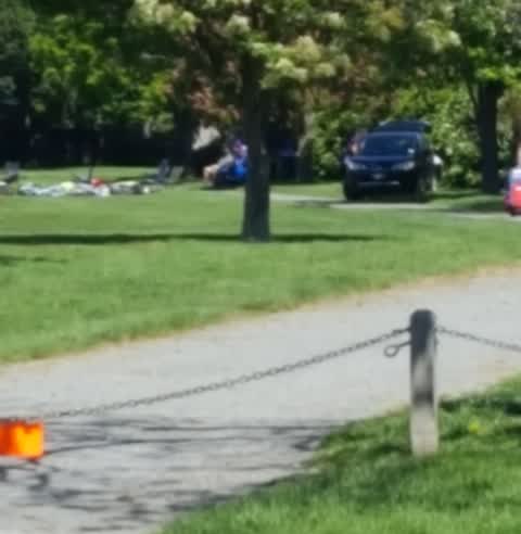 Parks, a report photo