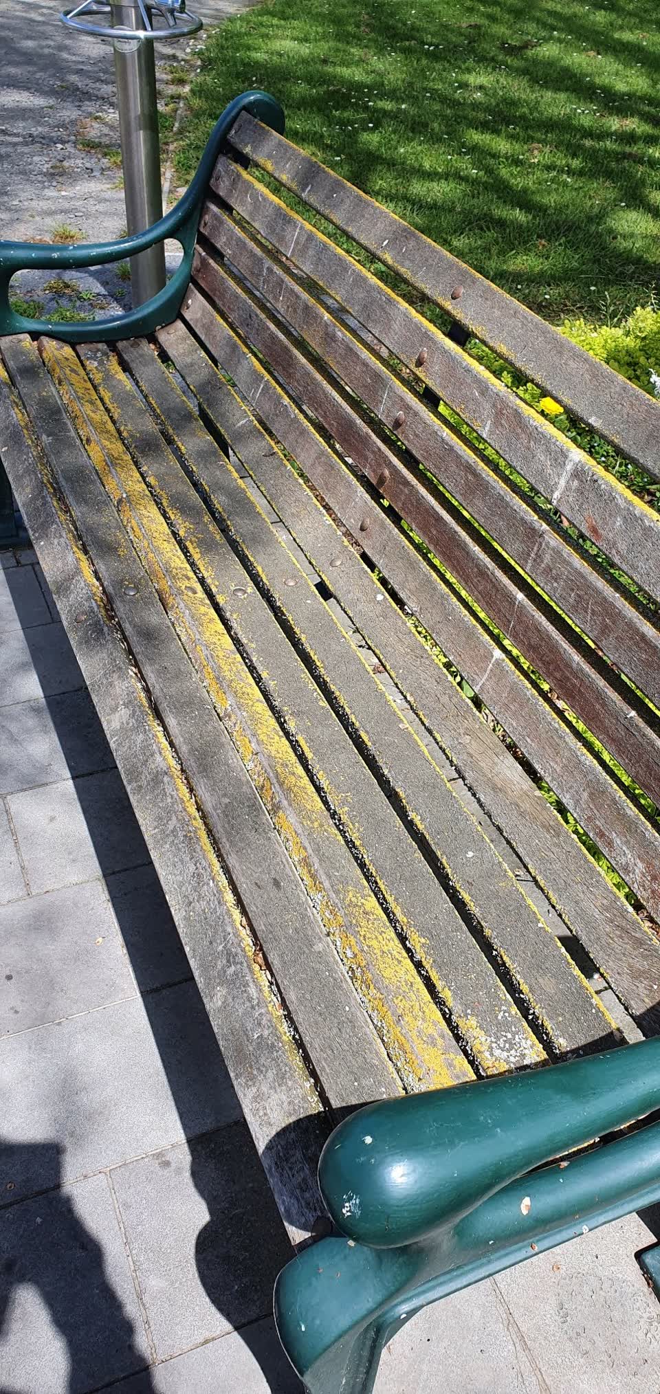 The photograph attached to this parks report