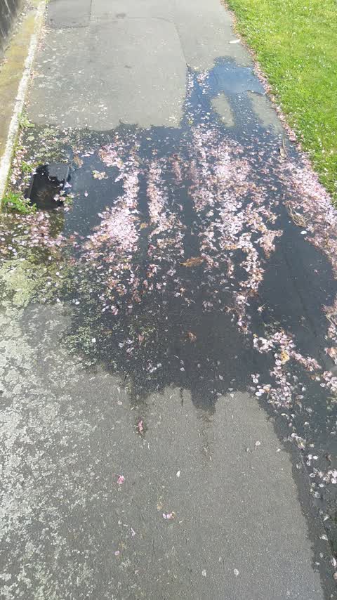 Water Leak, a report photo