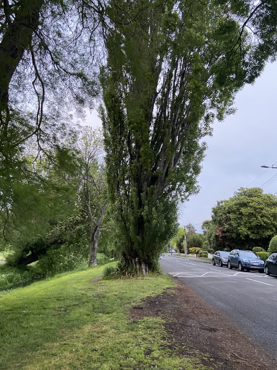 The photograph attached to this parks report