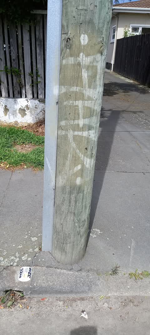 Graffiti, a report photo