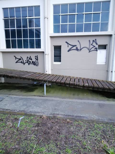 Graffiti, a report photo