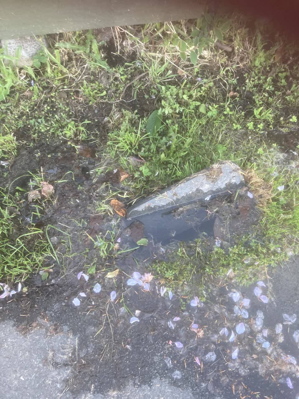 The photograph attached to this water leak report