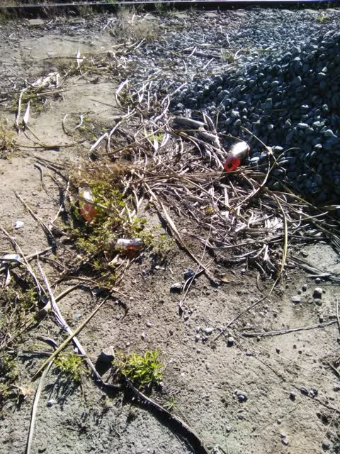 Rubbish/Recycling, a report photo