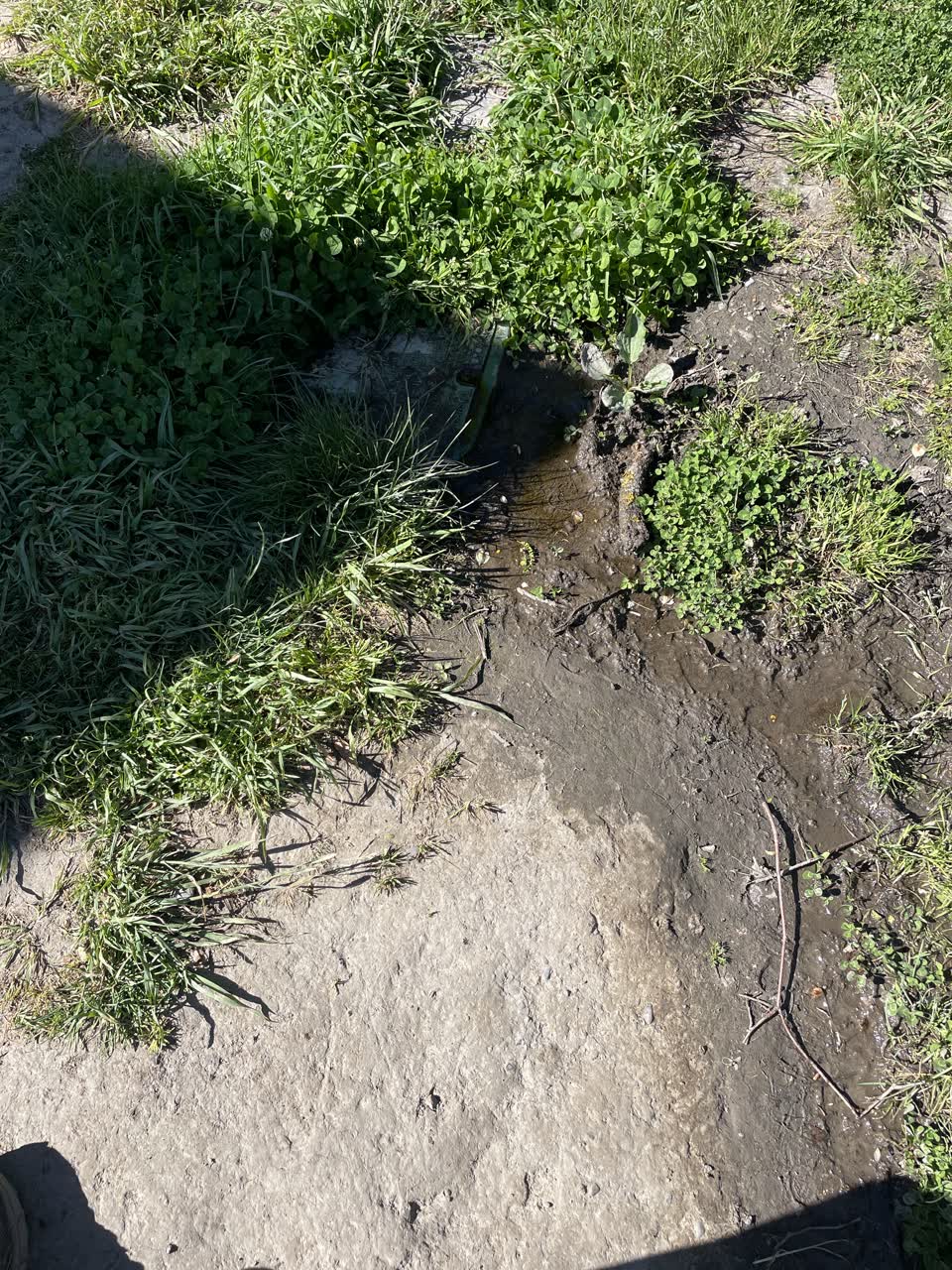 The photograph attached to this water leak report