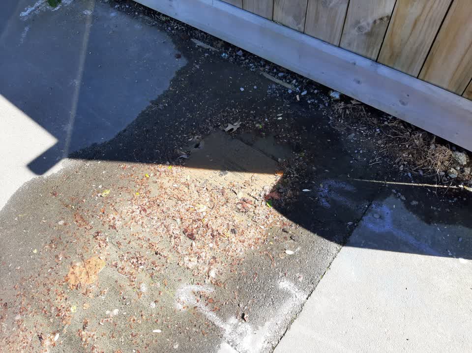 The photograph attached to this water leak report