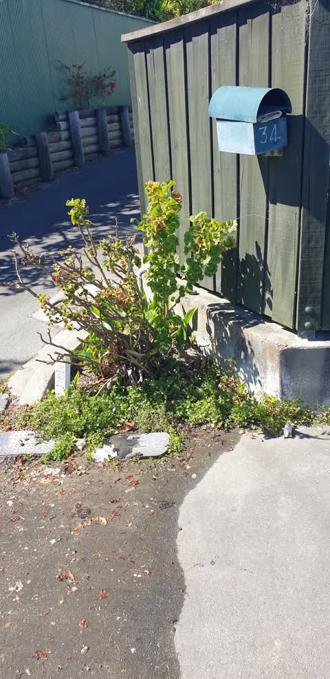 Water Leak, a report photo