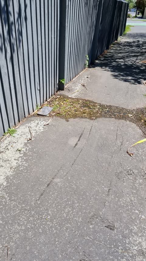 Water Leak, a report photo