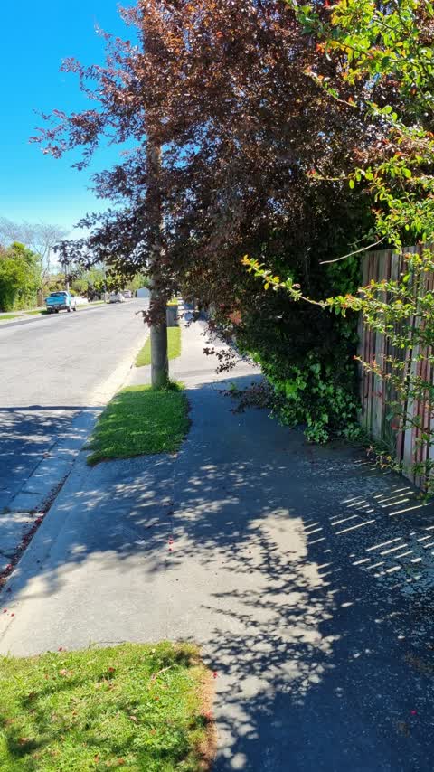 Roading/Streets, a report photo