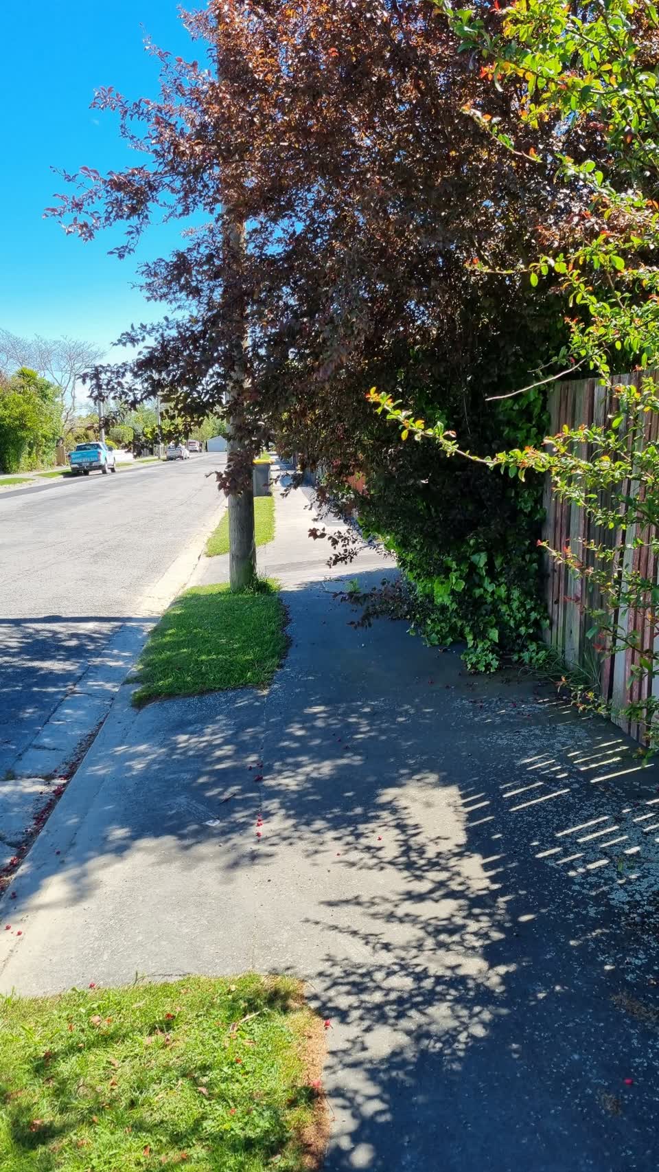 The photograph attached to this roading/streets report