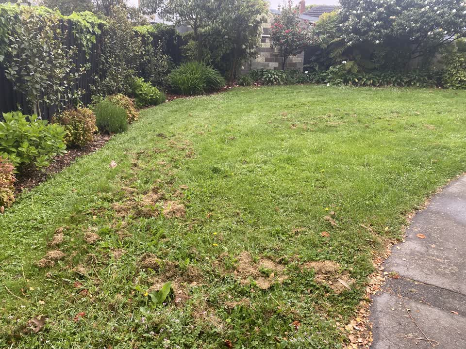The photograph attached to this parks report