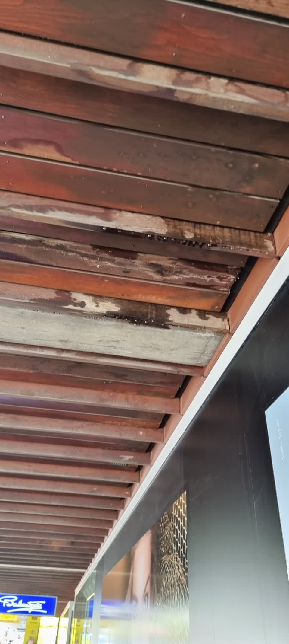 The photograph attached to this water leak report