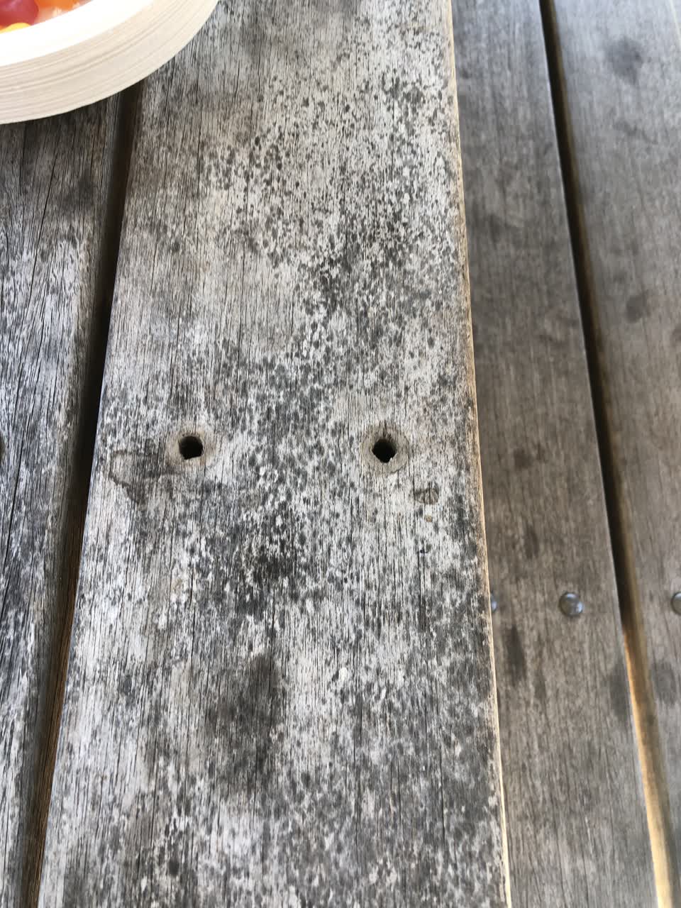 The photograph attached to this parks report