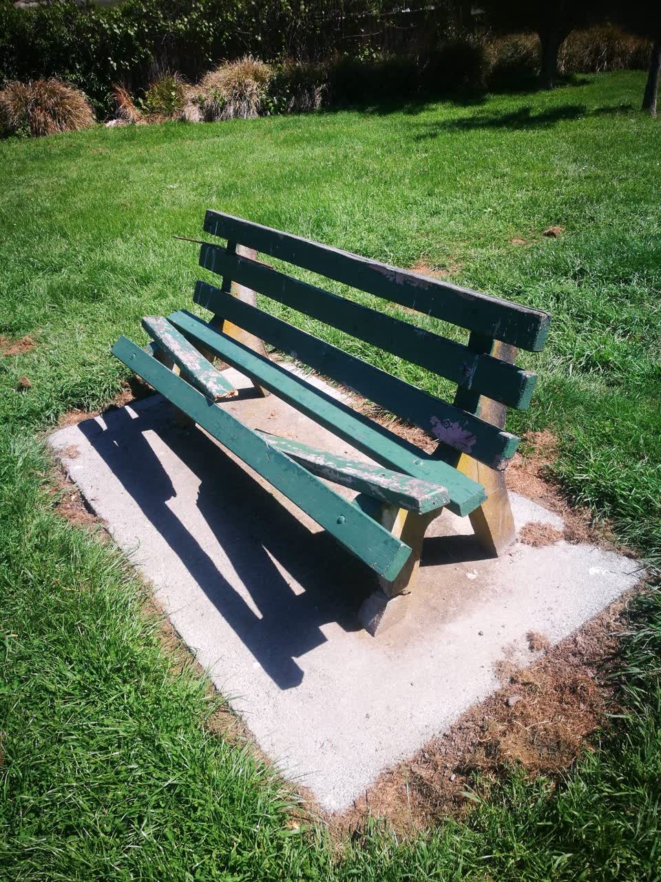 The photograph attached to this parks report