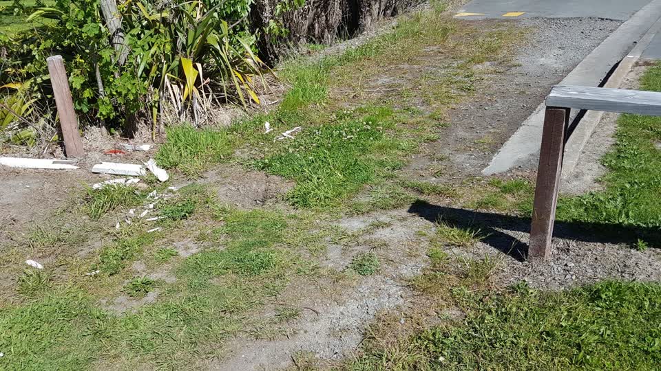 The photograph attached to this parks report