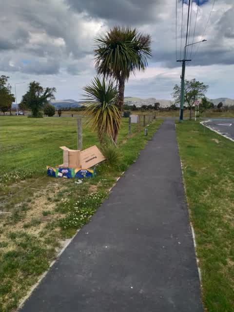 Rubbish/Recycling — a report photo