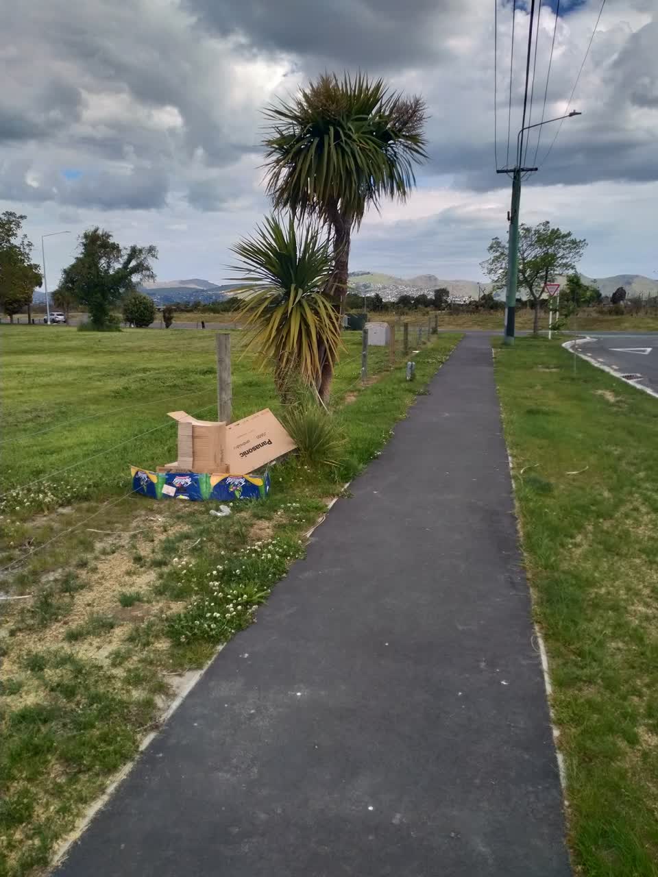 The photograph attached to this rubbish/recycling report