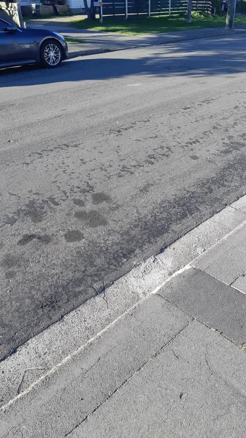 Roading/Streets, a report photo