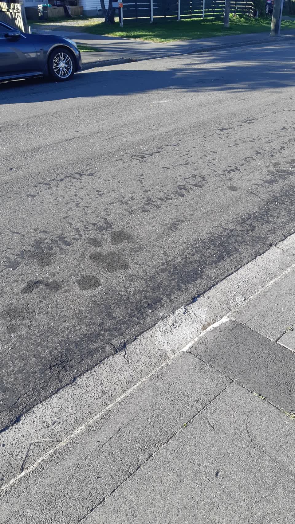 The photograph attached to this roading/streets report