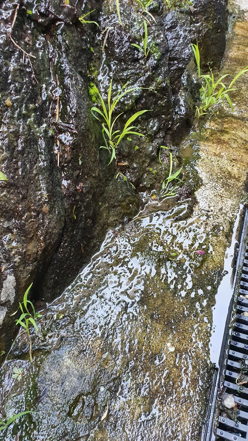 The photograph attached to this water leak report