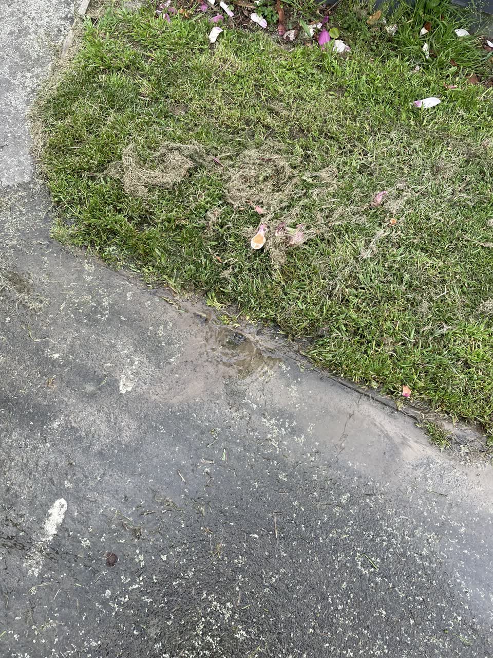 The photograph attached to this water leak report