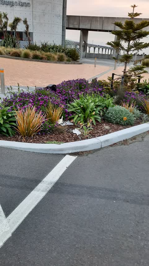 Parks, a report photo