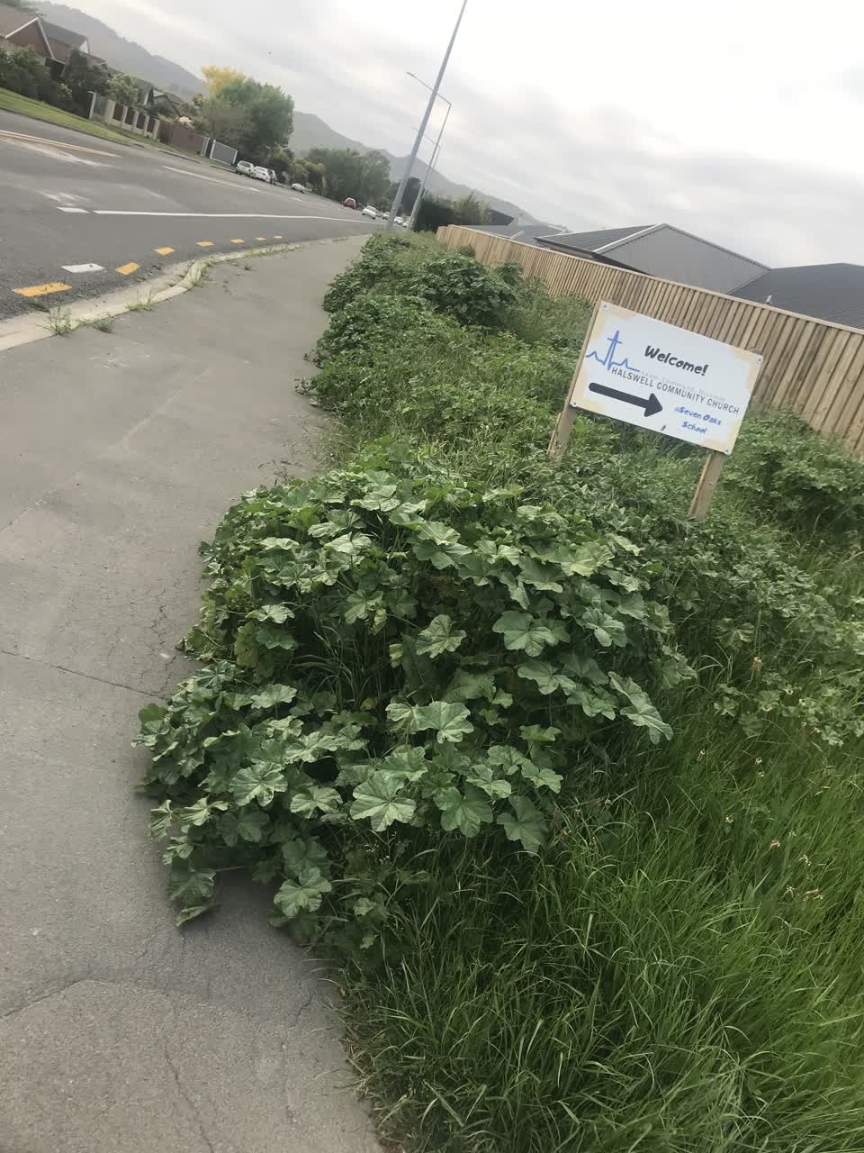 The photograph attached to this roading/streets report