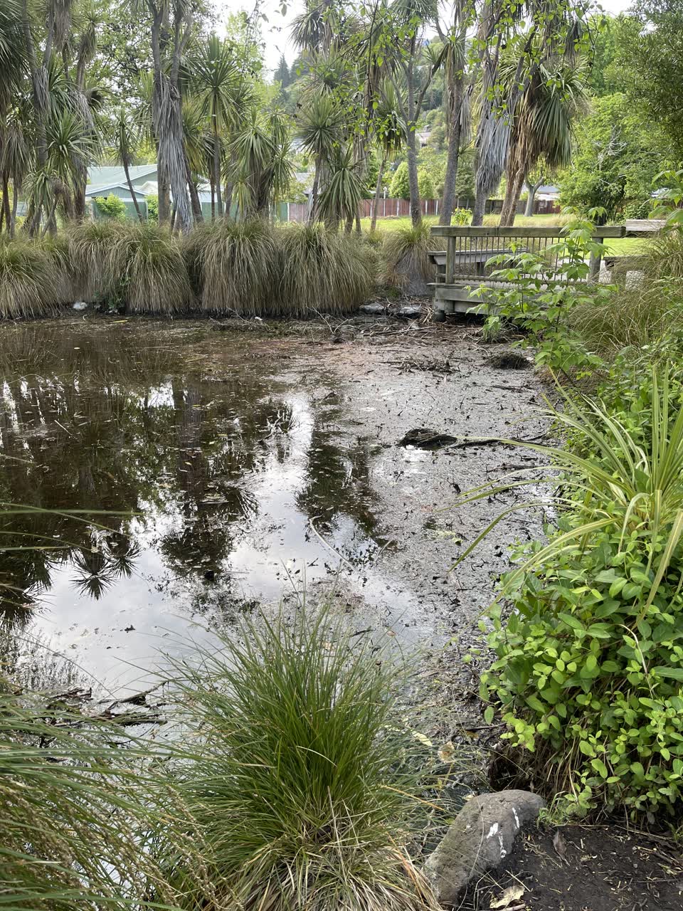 The photograph attached to this parks report