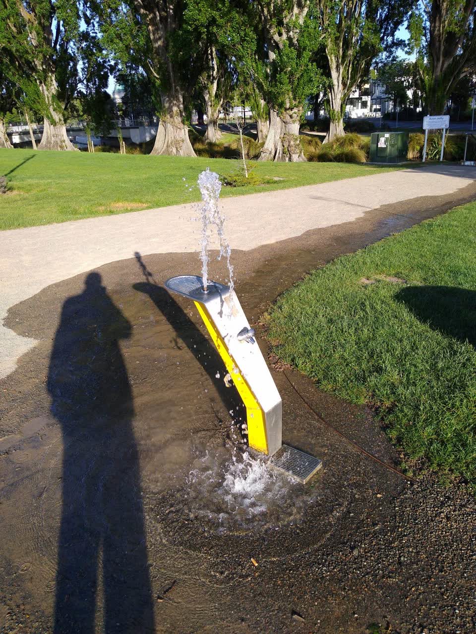 The photograph attached to this parks report