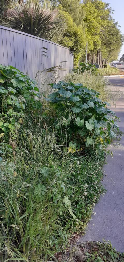 Roading/Streets — a report photo