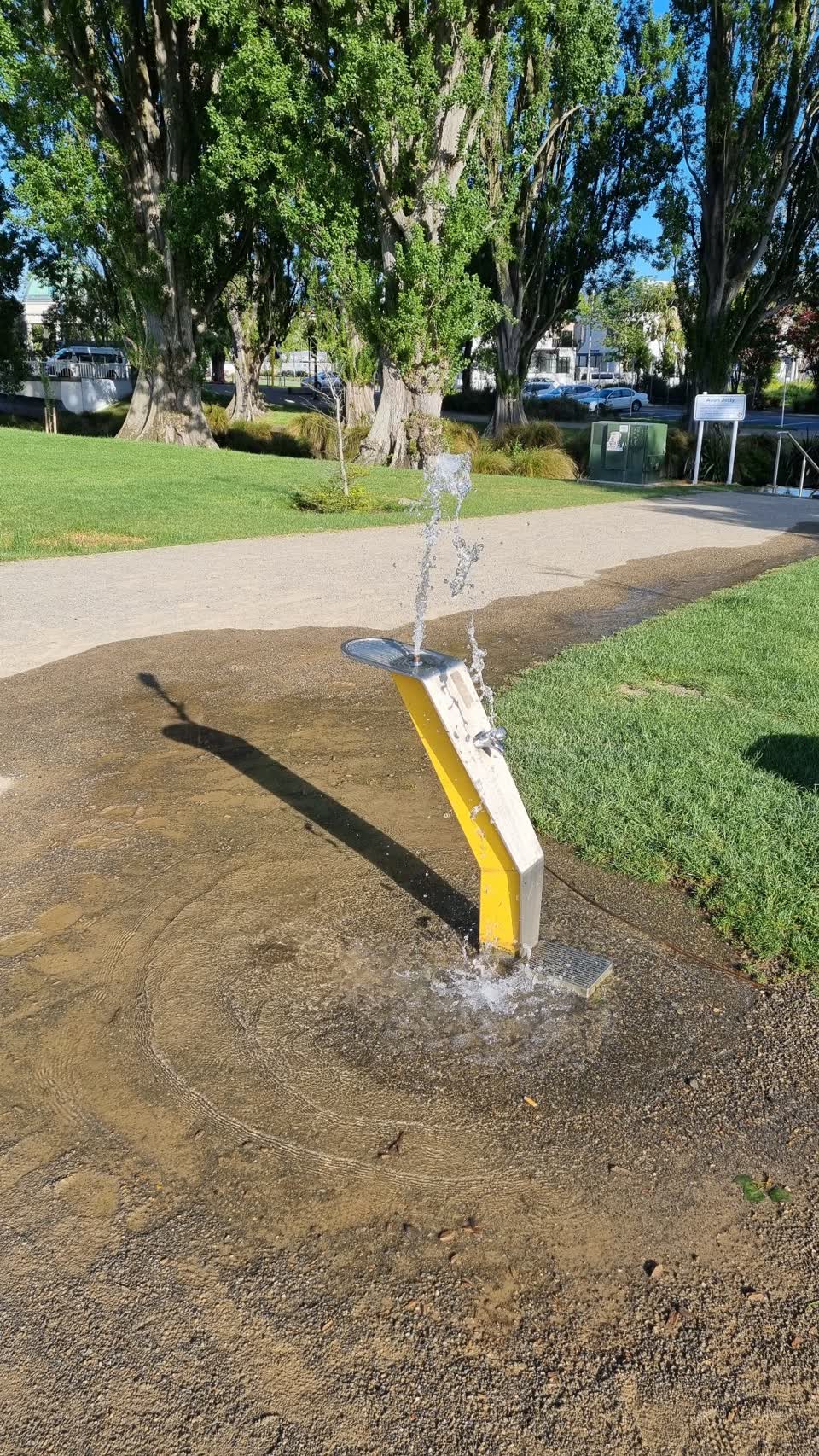 The photograph attached to this parks report
