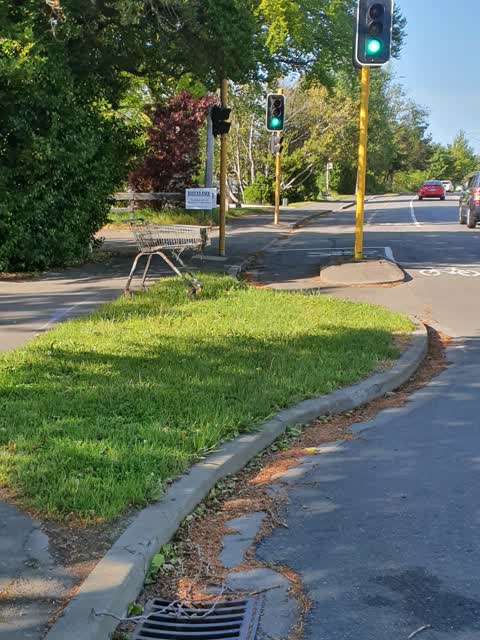 Roading/Streets, a report photo